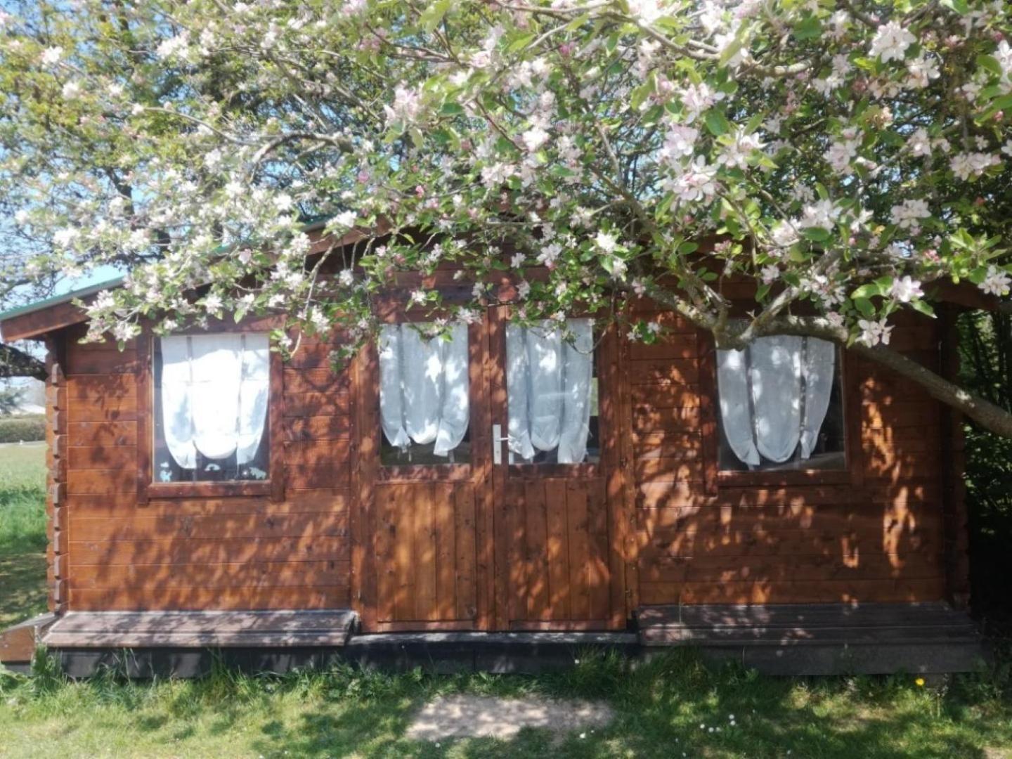 Chambre Studio Photo Chalet Sdb Partagee A Proximite Chavagne Exterior foto